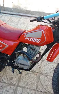 تریل پیشرو XL150