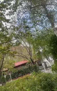 نیرو روز مزد