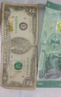 تعدادی اسکناس