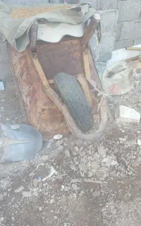 فرغون
