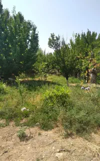 خانه ی ویلایی در روستا
