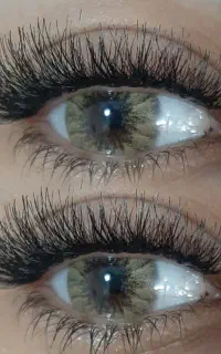 جشنواره کاشتمژه