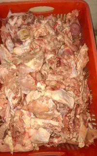 غذای حیوانی
