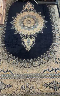 فرس ۵۰۰ شونه