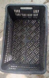 سبد گوجه ربی