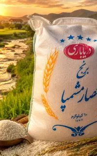 حصار مشمپا و ممان میانه و علی‌ کاظمی «کالابرگ»