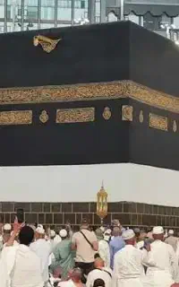 فروش یک عدد فیش حج تمتع 1385/04/28