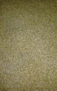 غذای پرنده کبوتر ومرغ
