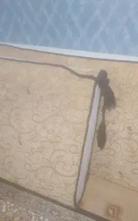 پشتی