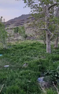 باغچه 200 متری روستای کرمجگان