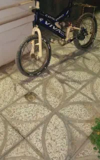 دوچرخه ۱۶ عروسک