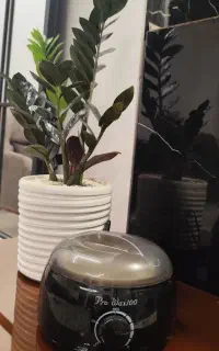 وکس صورت