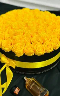 شیک کادو بده