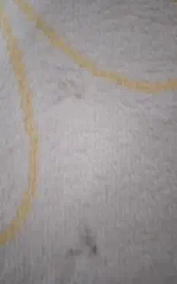 فرش
