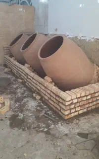 همکار خانم