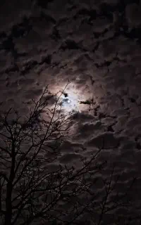 تبدیل هر نوع فیلم تصویری به صوتی
