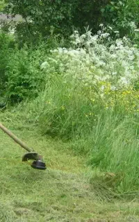 انجام کلیه کارهای باغبانی