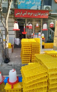 خوراک شفا دانه عمده دان پارس و اسلت کف پوش