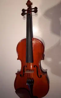 ویولن