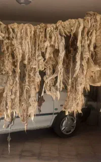 حلاجی پشم با کمند