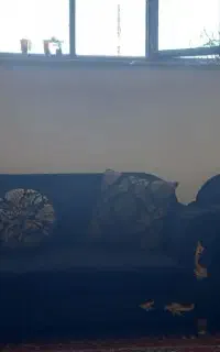 فروش  مبل۷ نفره وبوفه ومیز تک همه فقط ۵۵۰۰