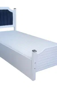 تشک اصلی  یک و دونفره و۱۲۰