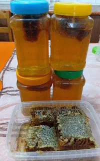 عسل