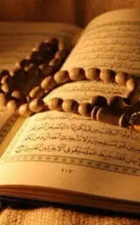 سرکتاب تضمینی دقیق رایگان
