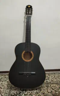 گیتار  دیاموند