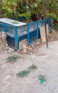 باربند اتاق شمالی