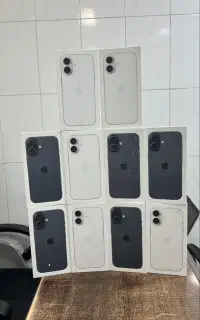 16normal