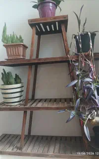 استندچوبی