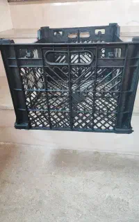 کارگر مرد و زن خانواده برای دستگاه سبد