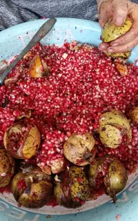 انار ترش