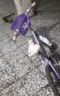 دوچرخه
