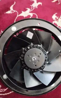 فن زیلابگ نو نو