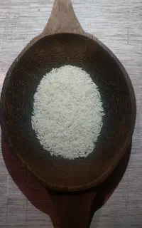 برنج طارم هاشمی اصل درجه ۱