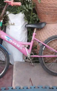 دوچرخه معاوضه با گل وگلدان