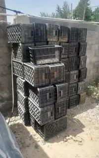 سبد در حد نو