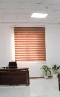 انجام کلیه امور ثبتی، مالی و مالیاتی