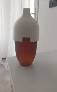 هی اور شی