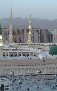 فیش عمره