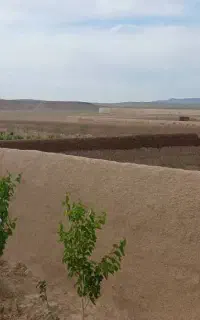 سند تک برگ کرایی میخواستم