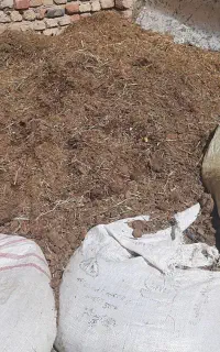کود گوسفندی عالی