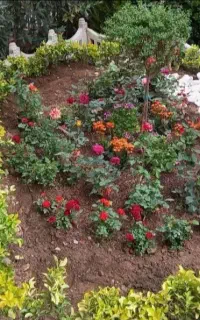 خدمات باغبانی درختکاری گلکاری باغچه کاری کاشت گل