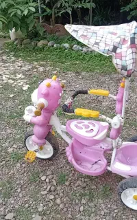 سه‌چرخه موزیکال کودک درحدنو