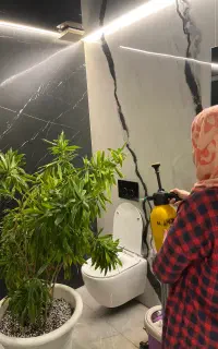 اصلاح فرم و بنسای گیاه به صورت تخصصی