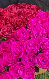 رز ربانی