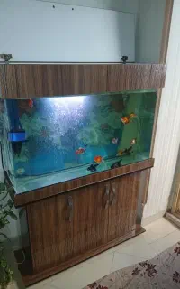 اکواریوم  سفارشی