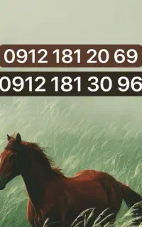 9121812069 و 9121813096